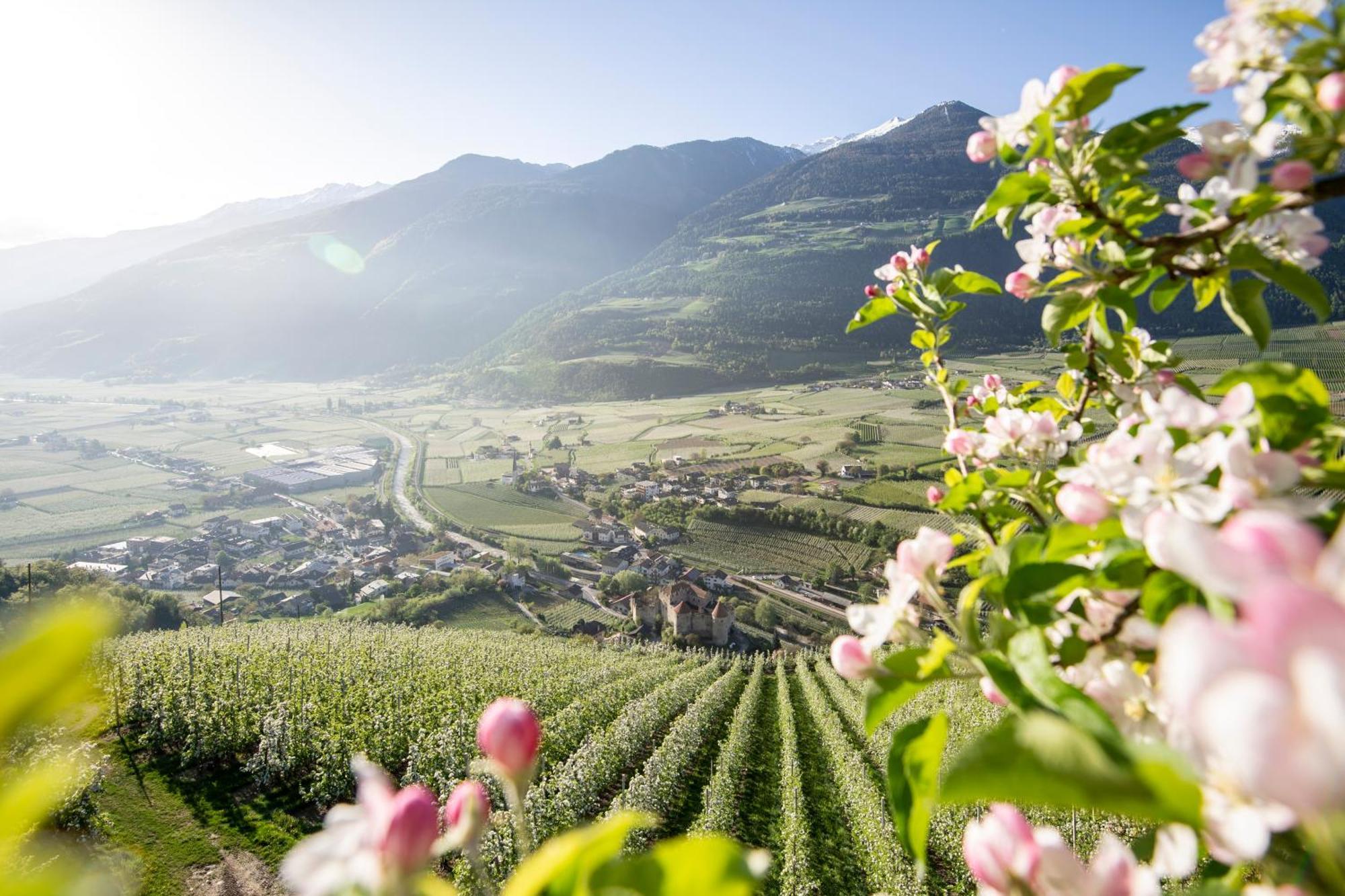 Lindenhof Pure Luxury & Spa Dolcevita Resort Naturns Bagian luar foto
